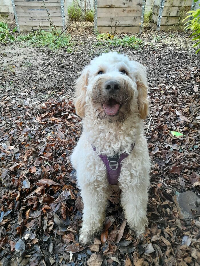 A Dirty Reuben Is A Happy Reuben