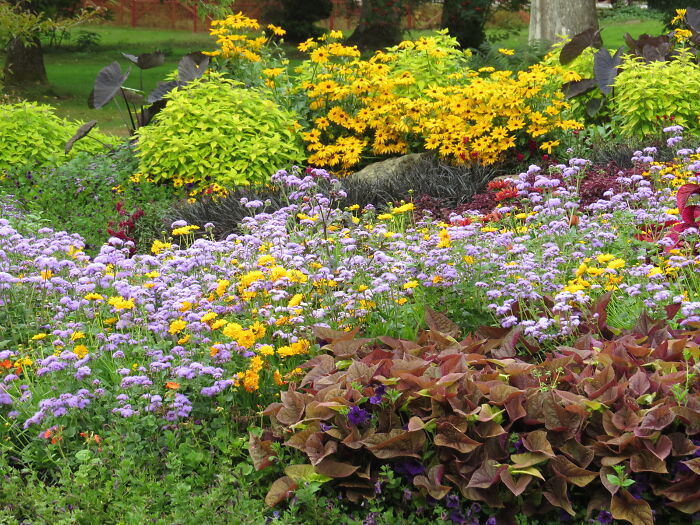 Stanley Park-Vancouver-Canada