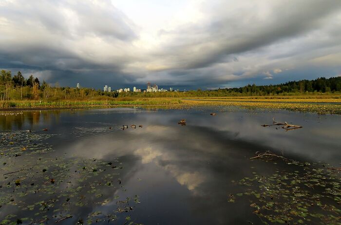 Burnaby Lake, Vancouver, Canada