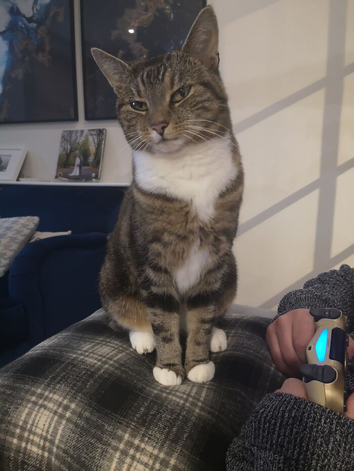 Kiki Likes Giving 'Side Eye' When She Wants Attention