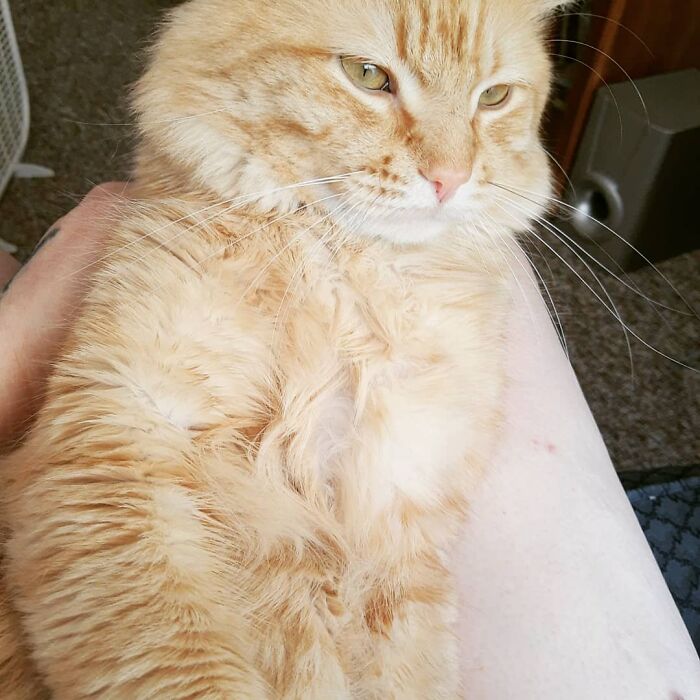 Mama's Boy, Poo Poo.