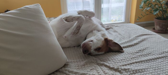 That's For Me, Right Sis?