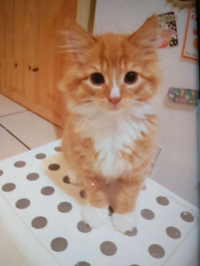 When He Was Just 2 Months Old