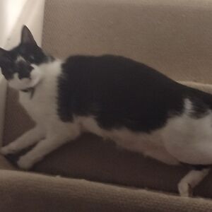 kayleighwebster_1 avatar