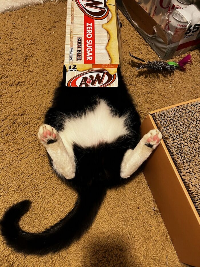 At Least It Doesn't Have Sugar...