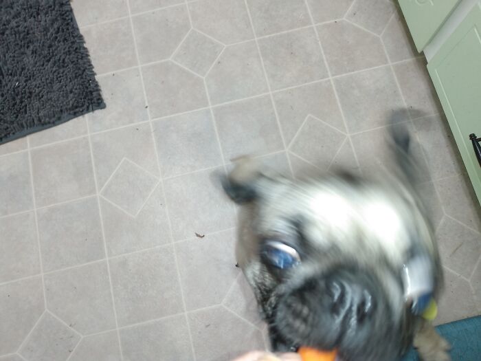 Patience Is Not Her Strong Suit.