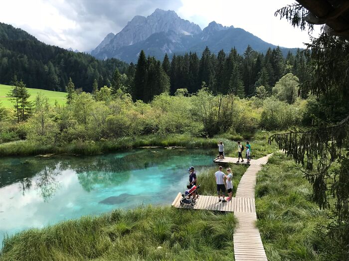 Zelenci Nature Reserve, Slovenia