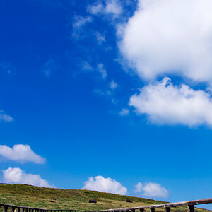 asadhafeez2007 avatar