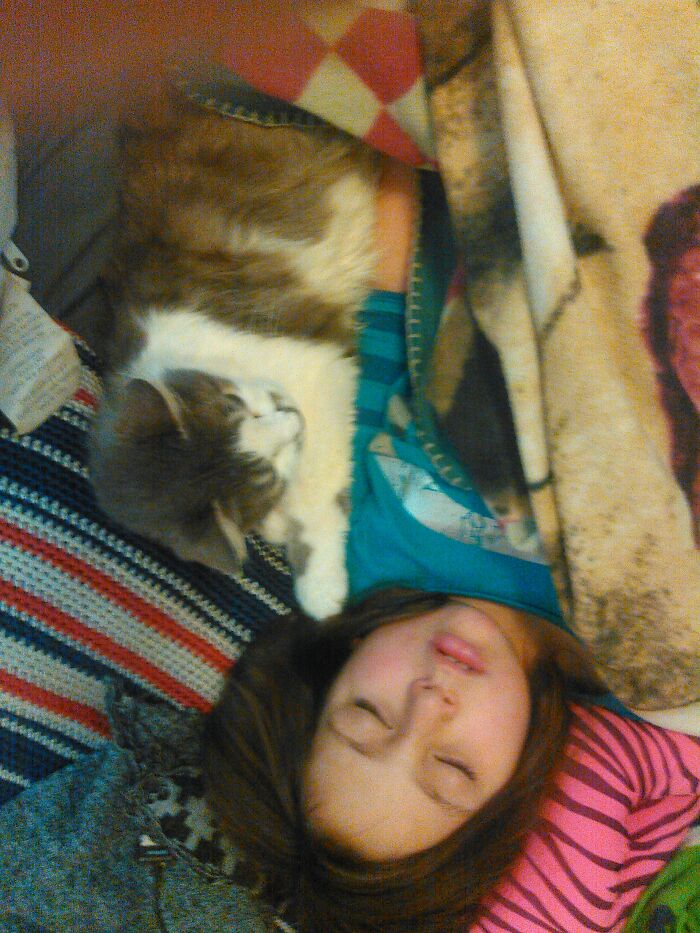 Always Loved To Cuddle And Would Always Expected To Spoon Her ! I Miss Her !