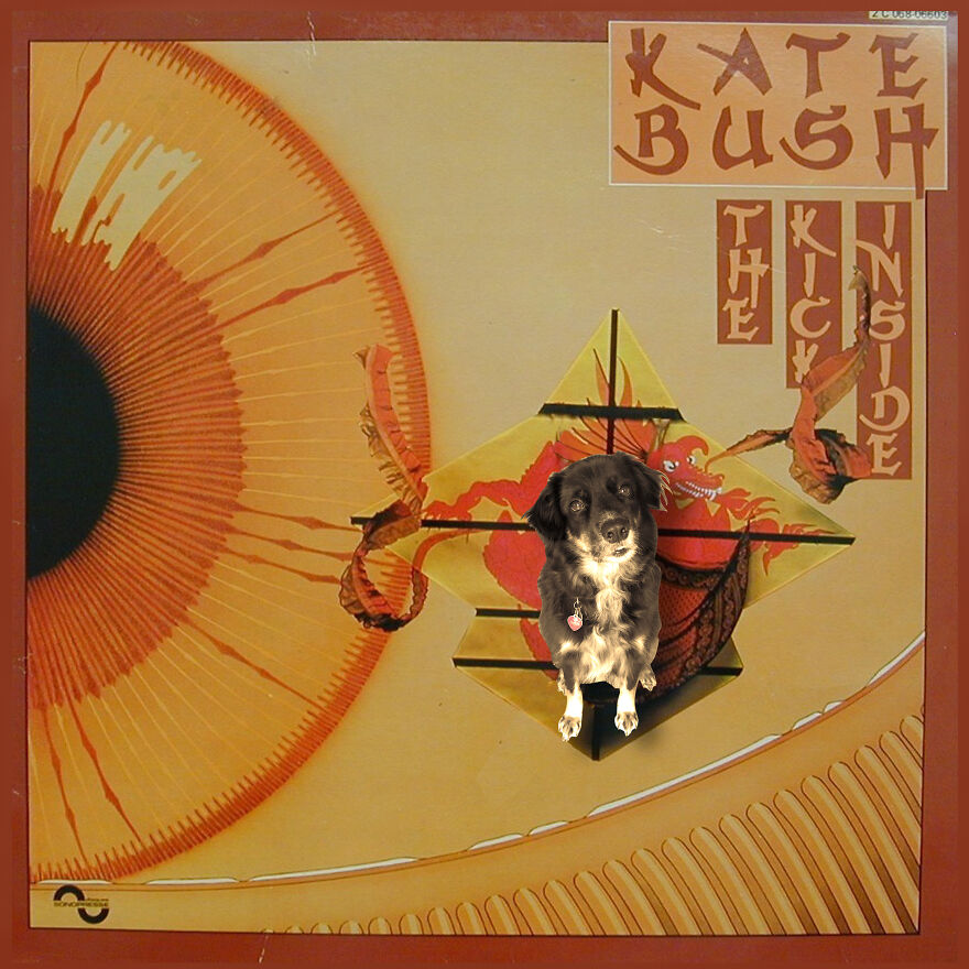 "The Kick Inside" By Kate Bush Ft. Bulu