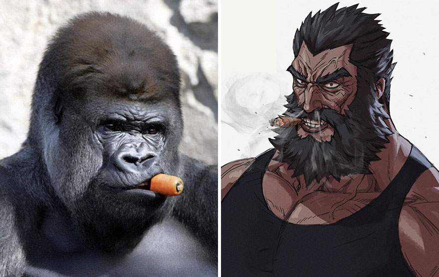 Boss Gorilla