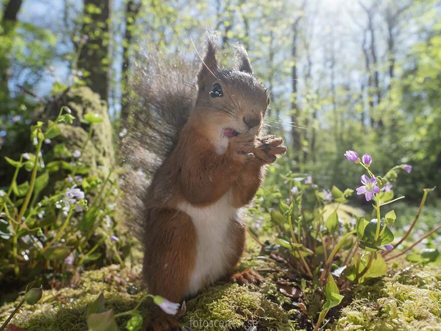 Late To Mail His Taxes