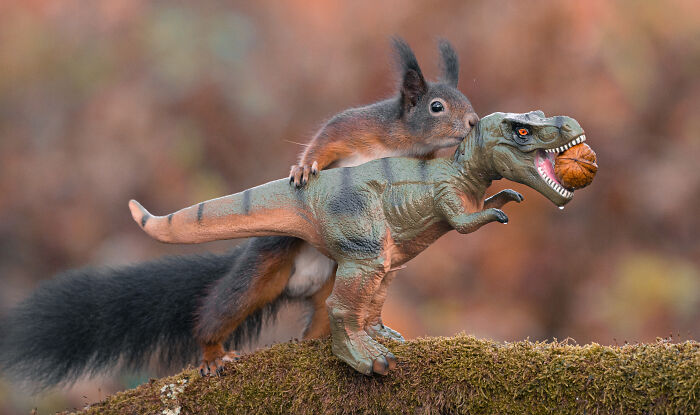 Squirrel Photographer Pays A Tribute To Steven Spielberg's Jurrasic Park