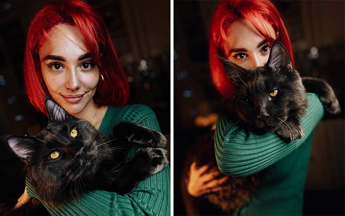 Este es Vincent, un gato Maine Coon que parece una pantera y actúa como un perro