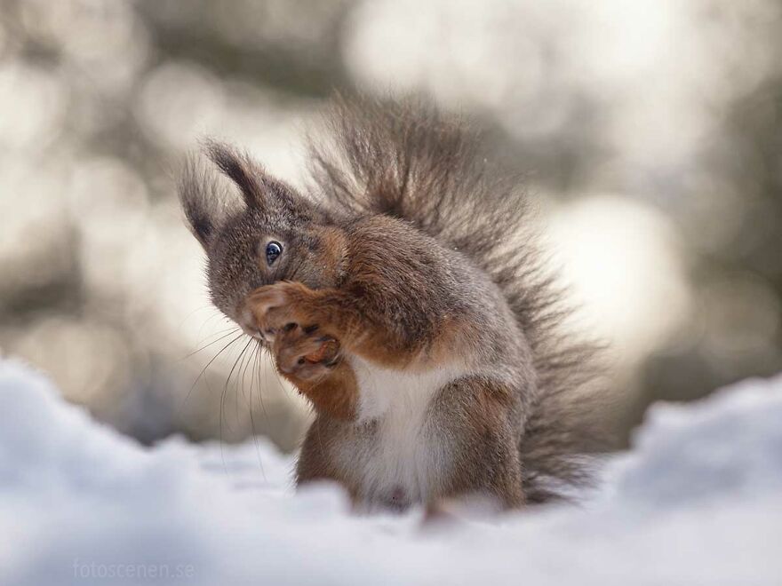 Opening A Jar Be Like