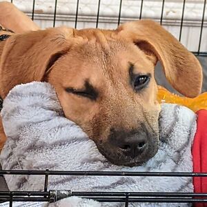 alexanderkader avatar