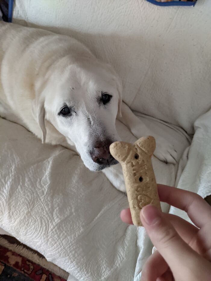 Two Seconds Before Disaster. He Jumped Up And Almost Bit My Hand Off