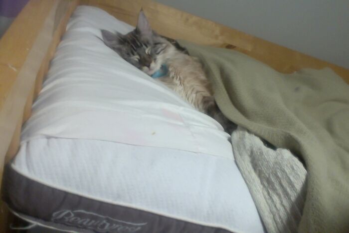 My Sweet Baby Tired After A Long Day Of Napping