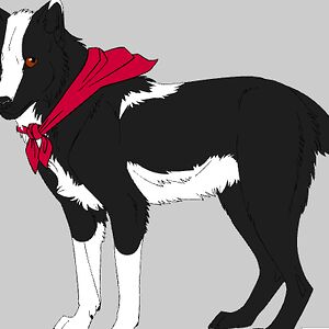 kennedyjohnson_4 avatar