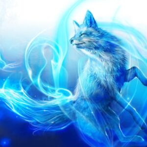 margot-bedingfield avatar