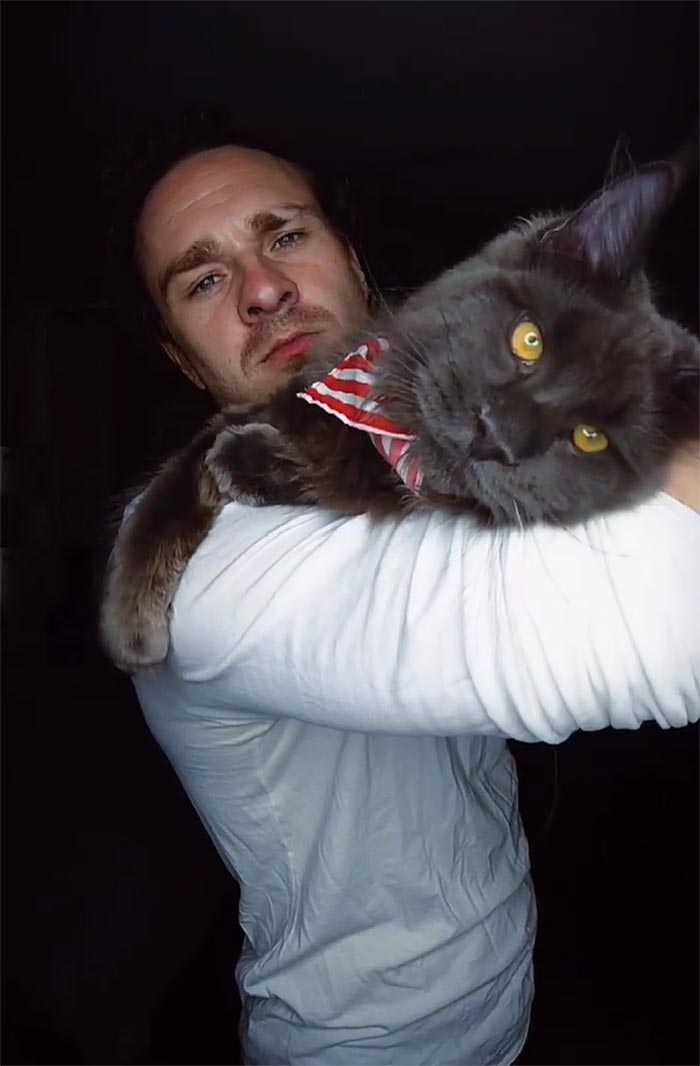 Este es Vincent, un gato Maine Coon que parece una pantera y actúa como un perro