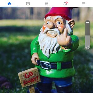 missidontgetit avatar