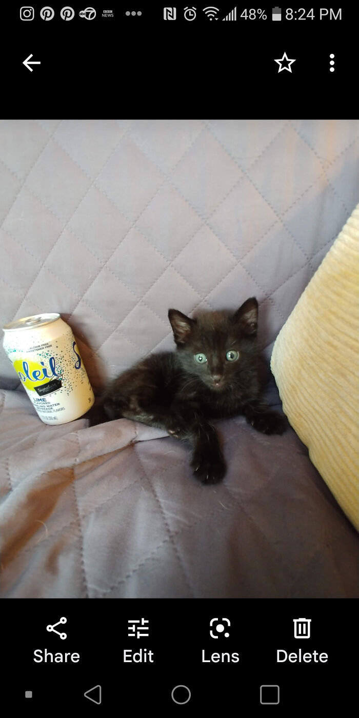 Mr Walmart 🥰🥰🥰