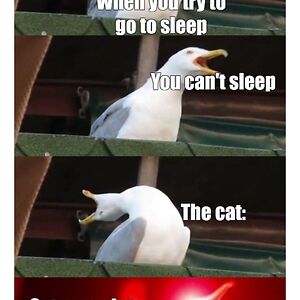 mariahwatkins avatar