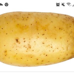 indigowhye-millers avatar