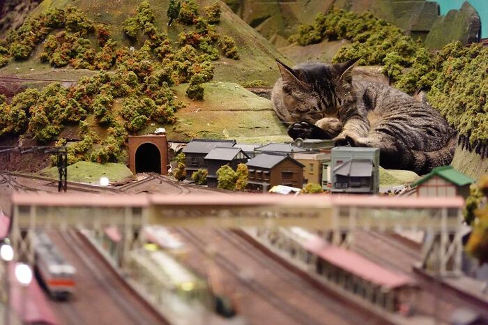 Stray Cats Saved A Diorama Restaurant During The Pandemic By Simply Lounging On The Miniature Models