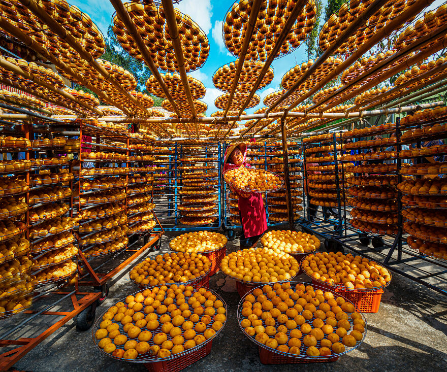 Drying Dried Persimmons. 2nd Place, Advertising