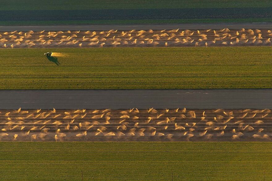 Industrial Agriculture, 2019