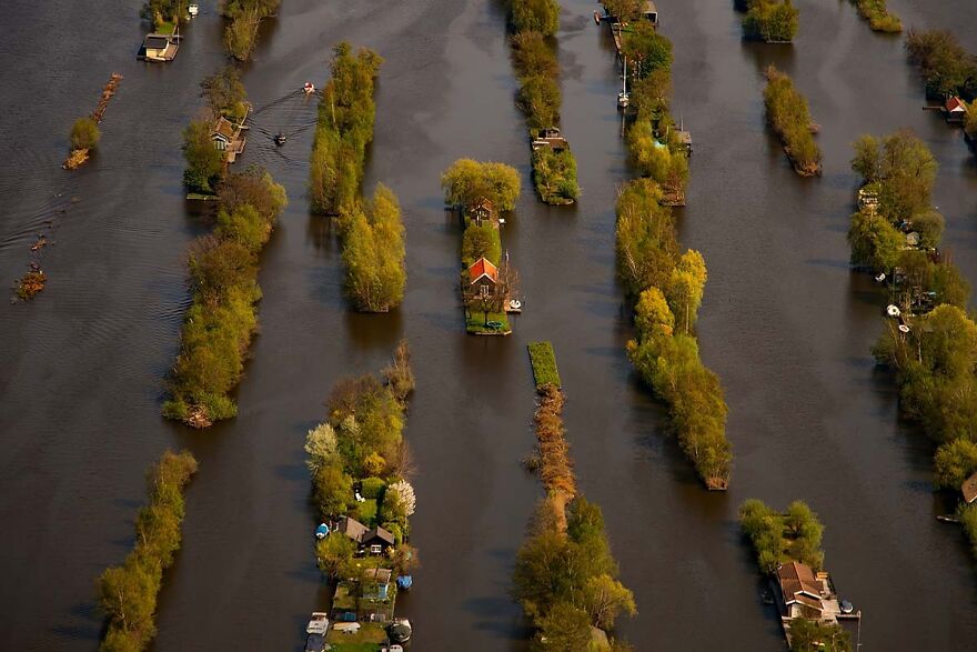 Reclaimed Housing, 2017