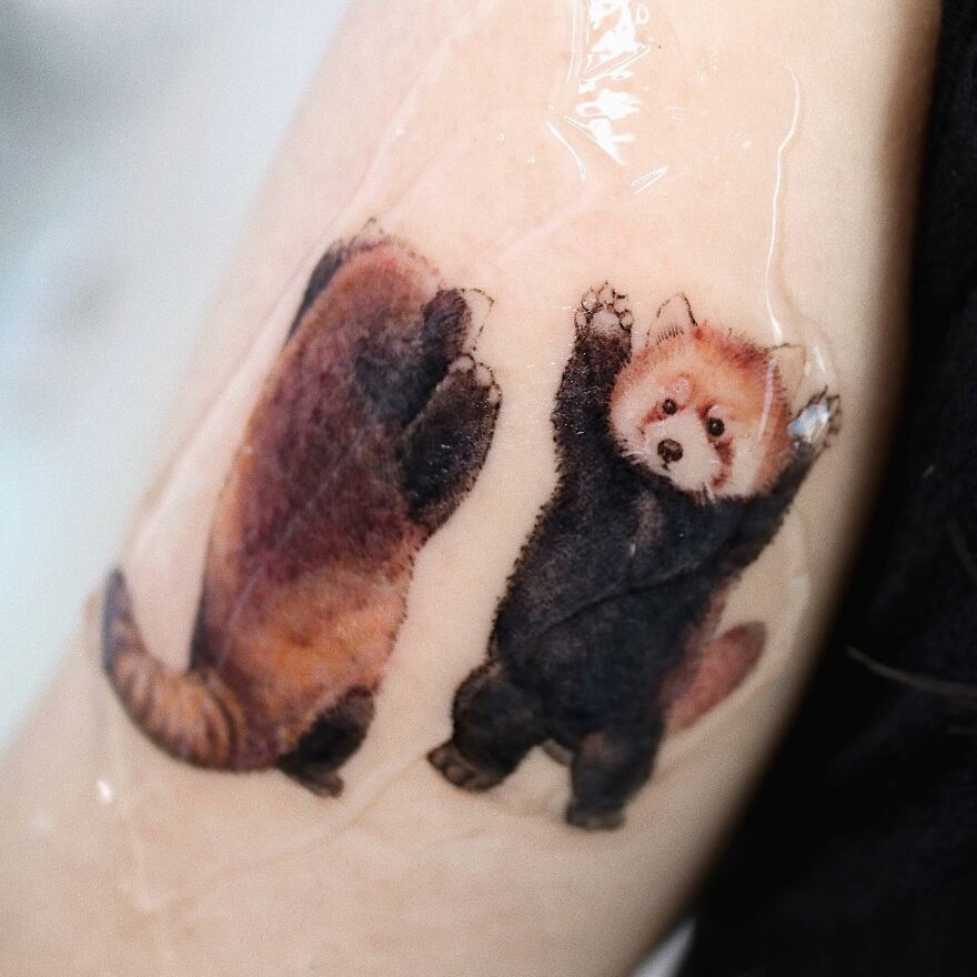 Tattoo of a red panda, resembling a painting, adorning an arm.