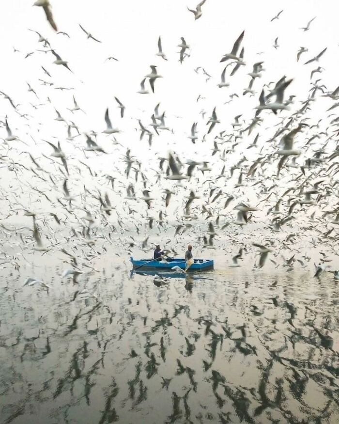 This Instagram Account Entertains More Than 500 Thousand Followers Daily With Its Street Photos