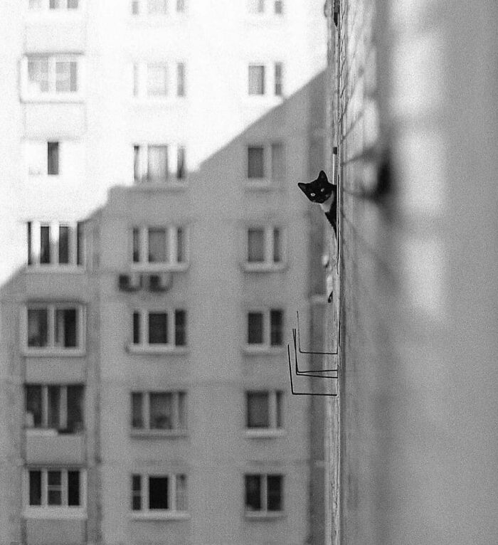 This Instagram Account Entertains More Than 500 Thousand Followers Daily With Its Street Photos