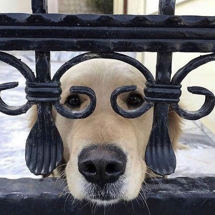 This Instagram Account Entertains More Than 500 Thousand Followers Daily With Its Street Photos