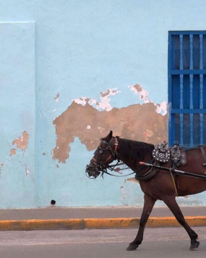 This Instagram Account Entertains More Than 500 Thousand Followers Daily With Its Street Photos