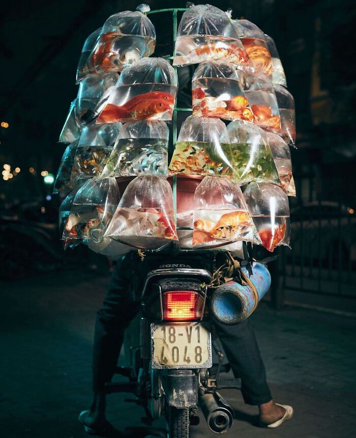 This Instagram Account Entertains More Than 500 Thousand Followers Daily With Its Street Photos