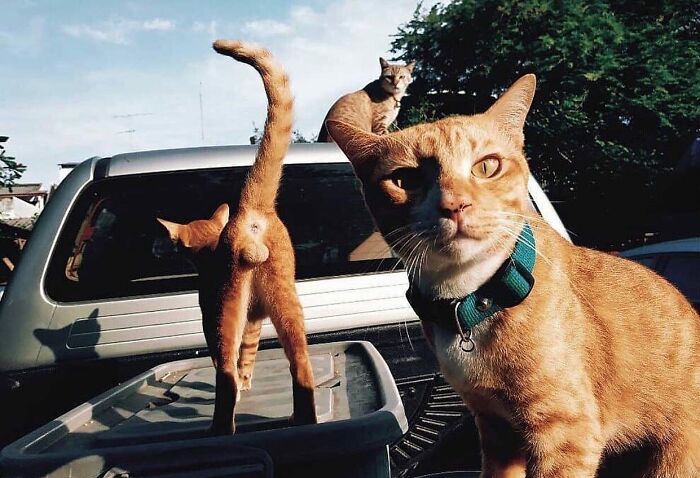 This Instagram Account Entertains More Than 500 Thousand Followers Daily With Its Street Photos