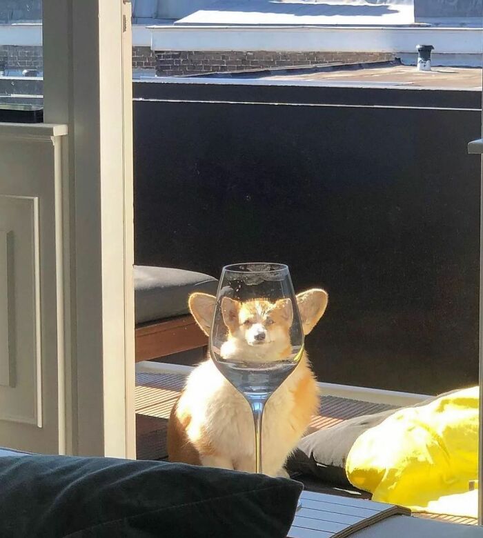 This Instagram Account Entertains More Than 500 Thousand Followers Daily With Its Street Photos