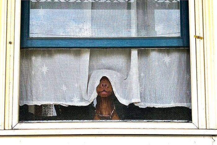 This Instagram Account Entertains More Than 500 Thousand Followers Daily With Its Street Photos