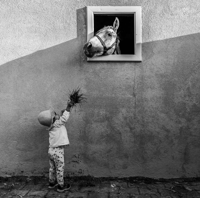 This Instagram Account Entertains More Than 500 Thousand Followers Daily With Its Street Photos