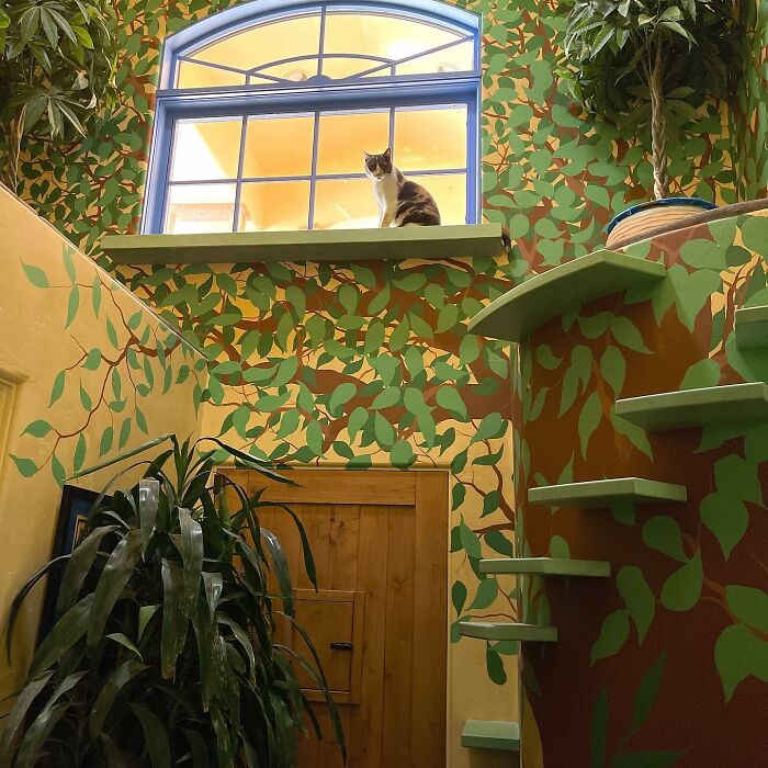 This Man Designed A Purrfect House For His 20-Plus Rescue Cats