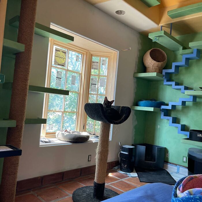 This Man Designed A Purrfect House For His 20-Plus Rescue Cats