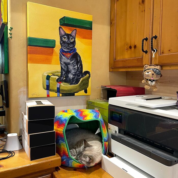 This Man Designed A Purrfect House For His 20-Plus Rescue Cats