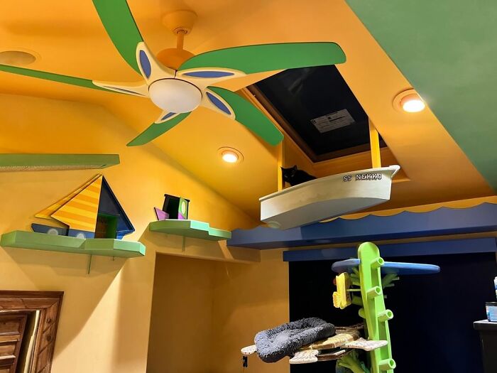 This Man Designed A Purrfect House For His 20-Plus Rescue Cats