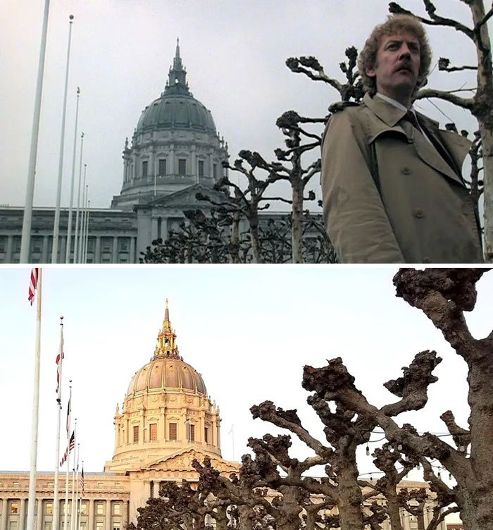Invasion Of The Body Snatchers (1978)