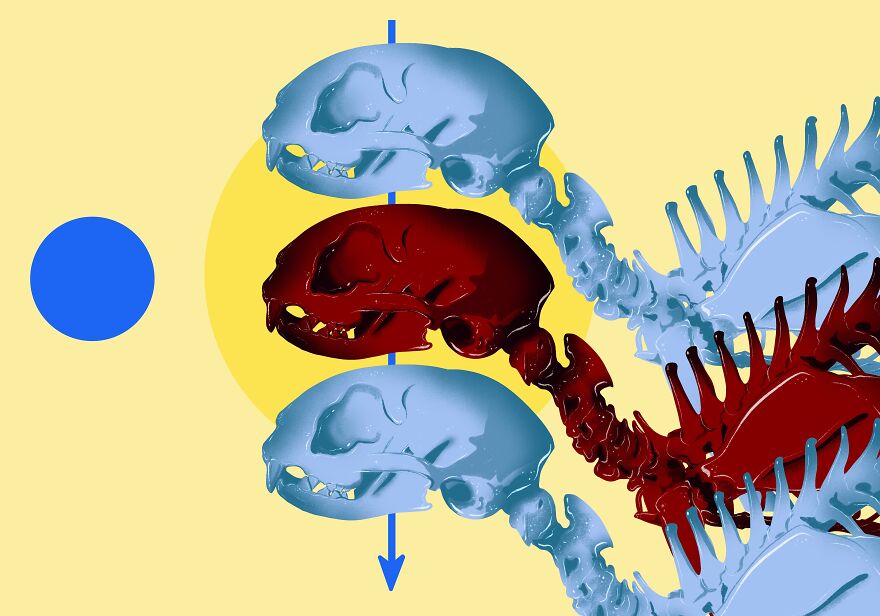 I Create Chilling Art To Bring Awareness To Borderline Personality Disorder