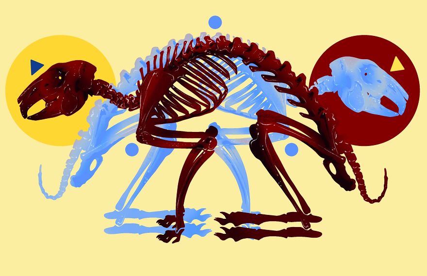 I Create Chilling Art To Bring Awareness To Borderline Personality Disorder